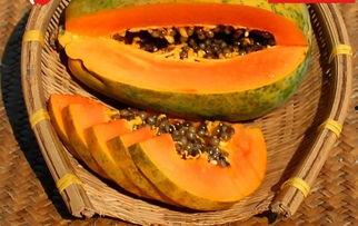 51吃瓜今日吃瓜入口4,今日吃瓜入口4，揭秘娱乐圈最新热点