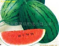 51吃瓜今日吃瓜入口4,今日吃瓜入口4,揭秘娱乐圈最新热点