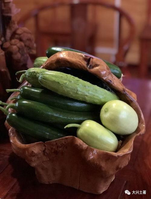 成都吃瓜网红是谁,揭秘成都网红圈中的“瓜王”