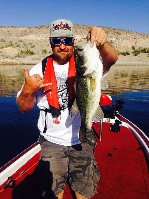 娱乐吃瓜钓鱼视频大全最新,娱乐吃瓜钓鱼视频大盘点,笑料百出,精彩纷呈!