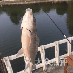 娱乐吃瓜钓鱼视频大全最新,娱乐吃瓜钓鱼视频大盘点,笑料百出,精彩纷呈!