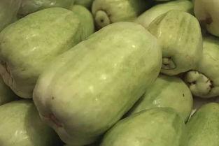 网上说的吃瓜什么意思,吃瓜背后的真相与趣味