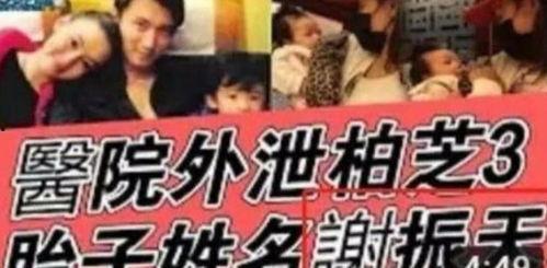 娱乐吃瓜博主起名大全,跟随吃瓜博主,畅游八卦海洋